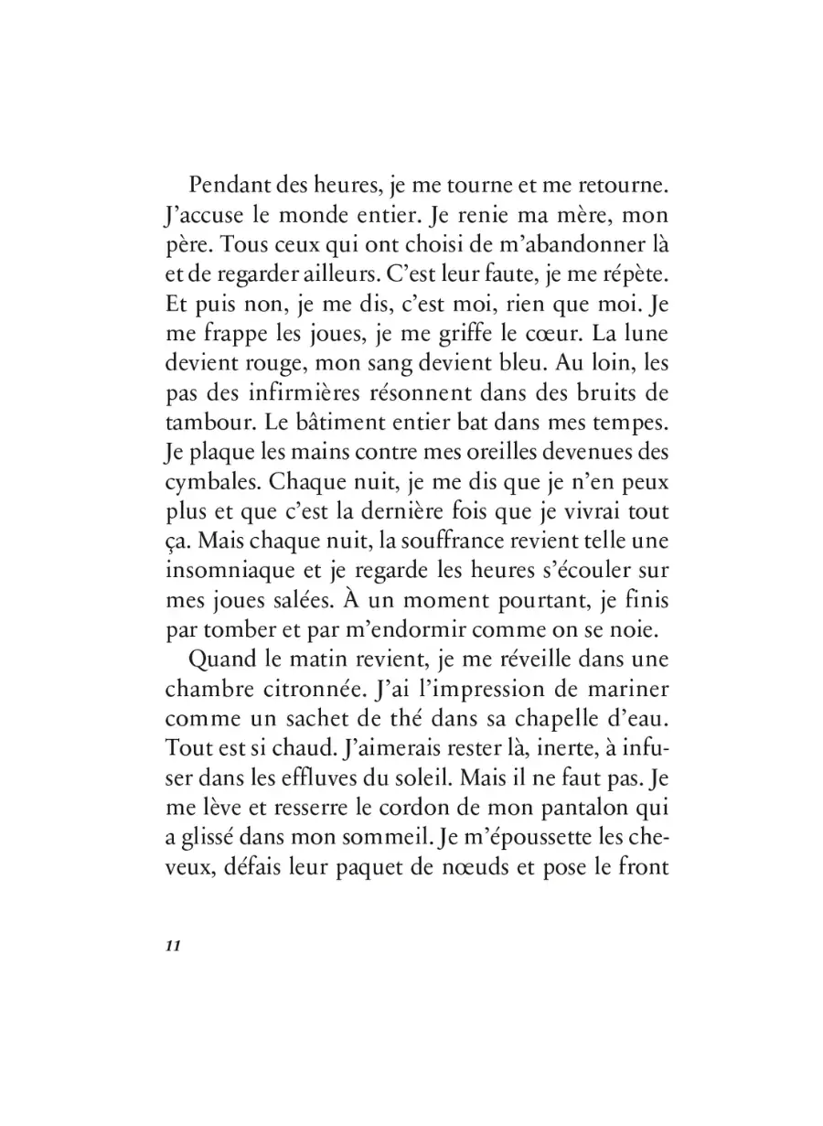 Tombée du ciel Alice Develey