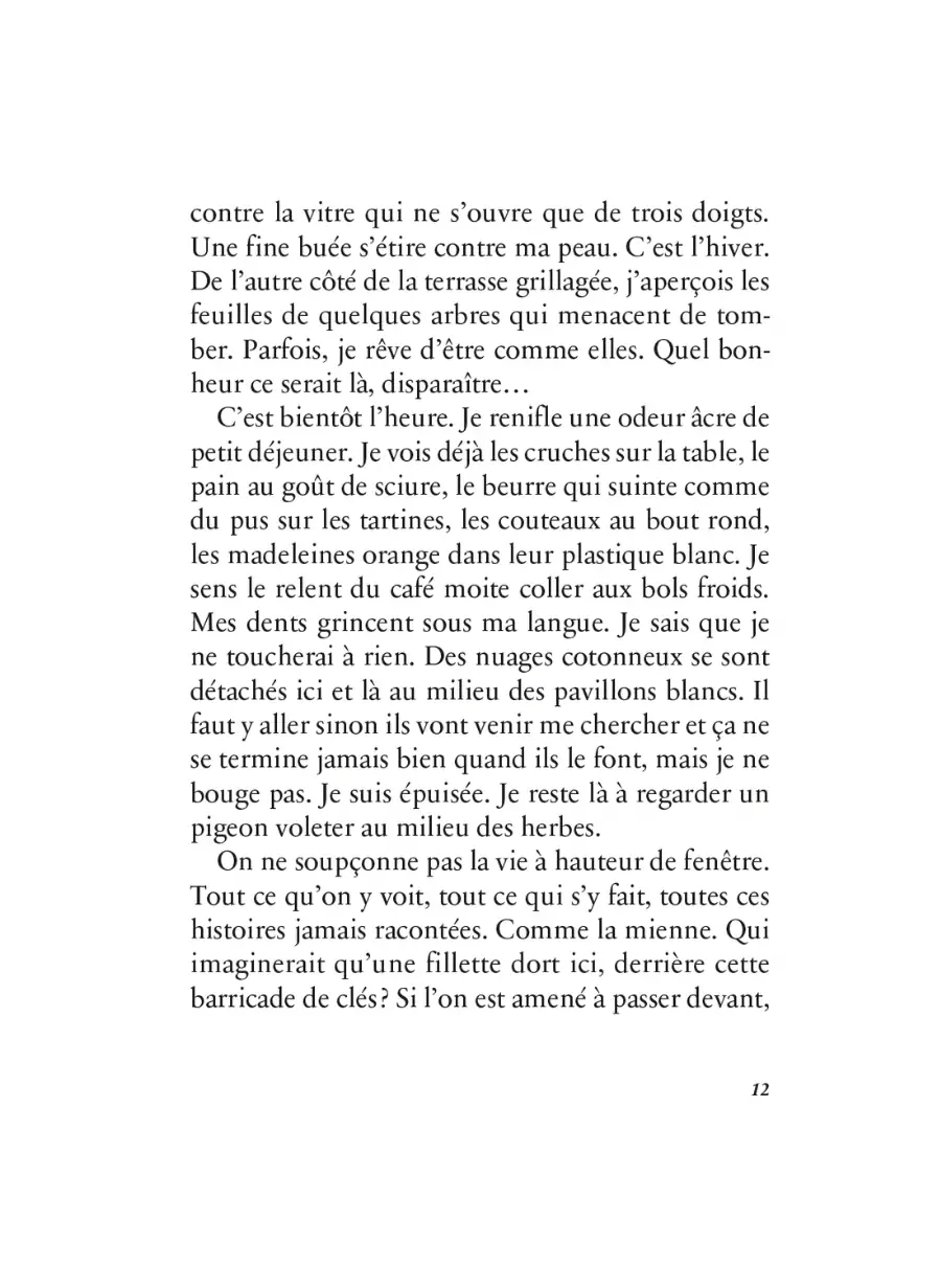 Tombée du ciel Alice Develey